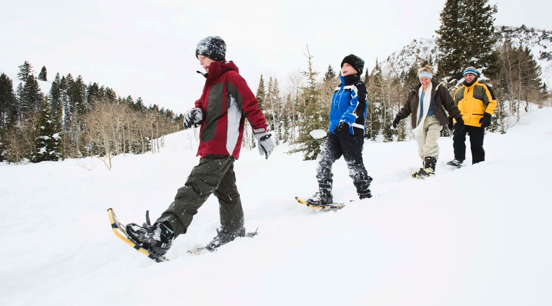 A group of four people snowshoeing through a snowy forested trail on a bright winter day