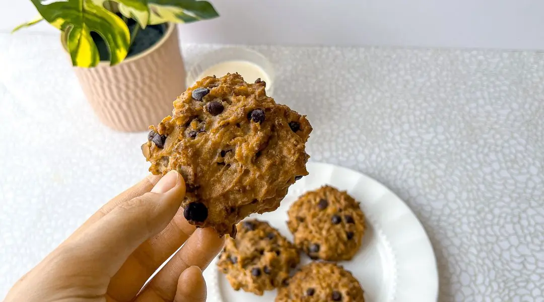 Hand holding a soft chocolate chip cookie