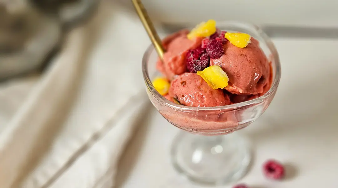 Homemade Fruit Sorbet