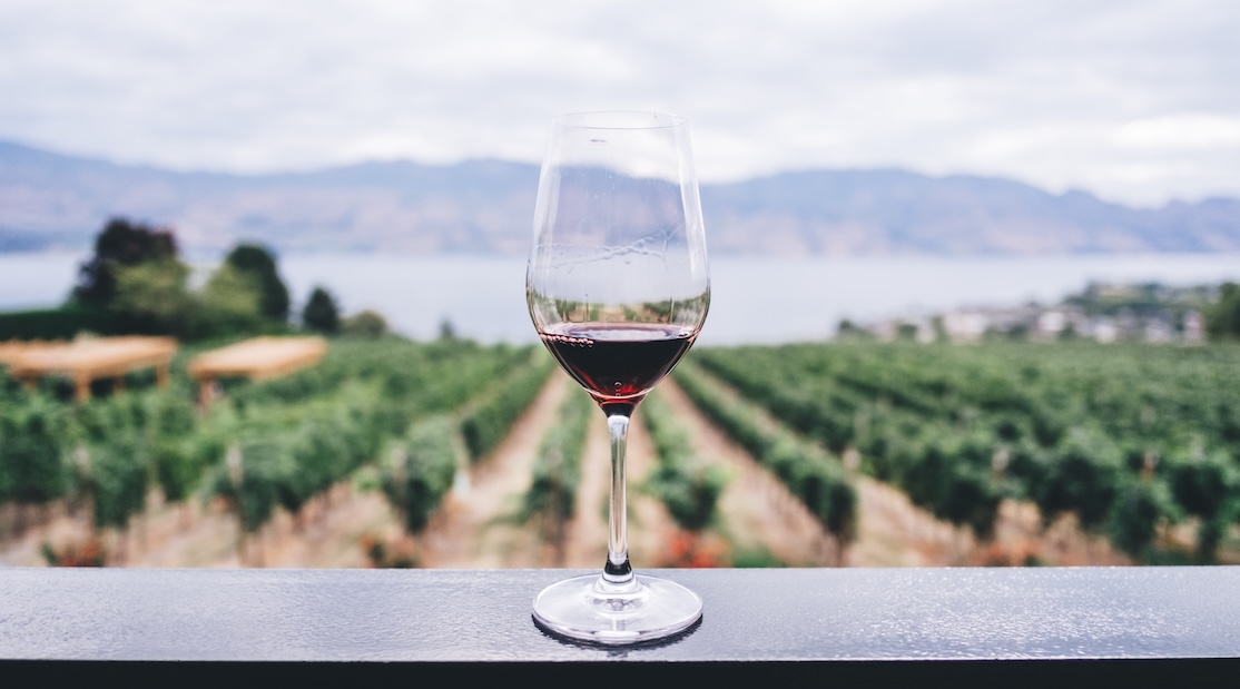 A glass of red wine on a railing overlooking a lush vineyard with a lake and mountains in the background.