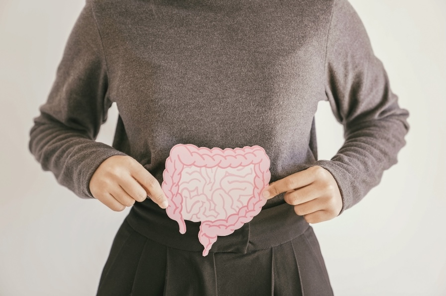 A person in a grey sweater holding a pink illustration of the digestive system over their abdomen.