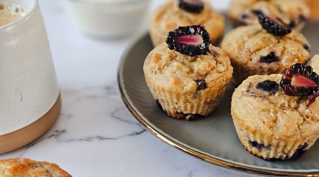 cheesecake-style muffins