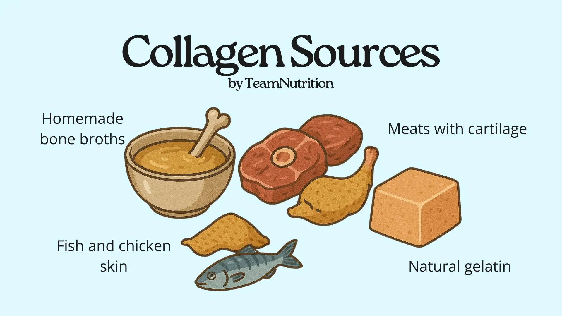 Collagen Sources by TeamNutrition