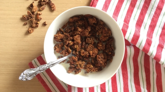 granola aux fruits et cacao