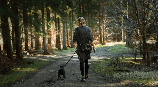 Girl walking dog