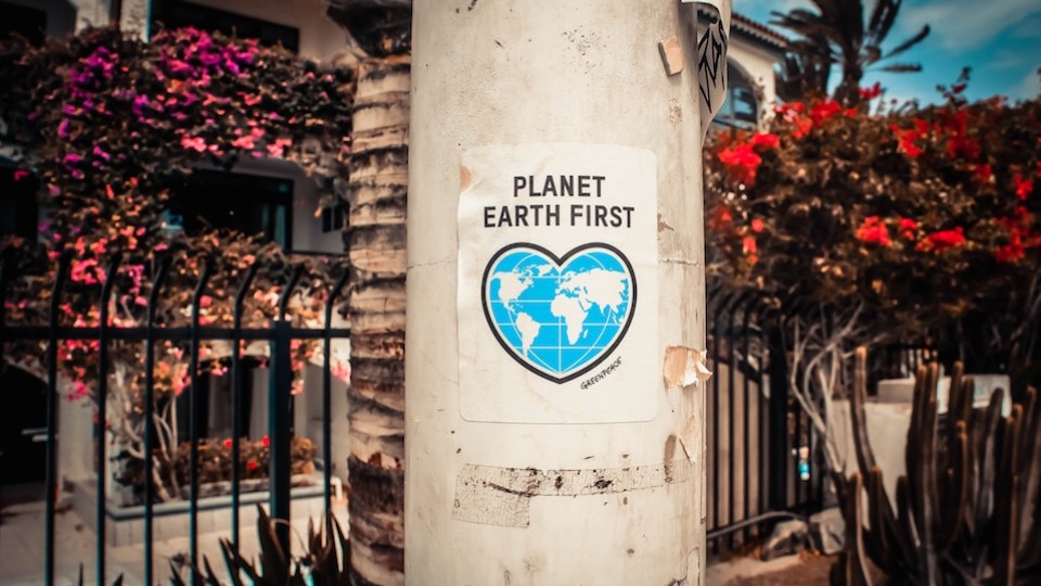 Affiche planet earth first sur un arbre