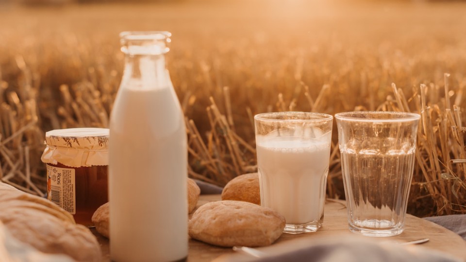 milk in a field