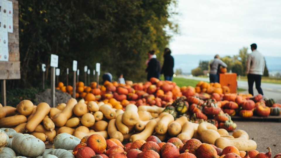 squash sales