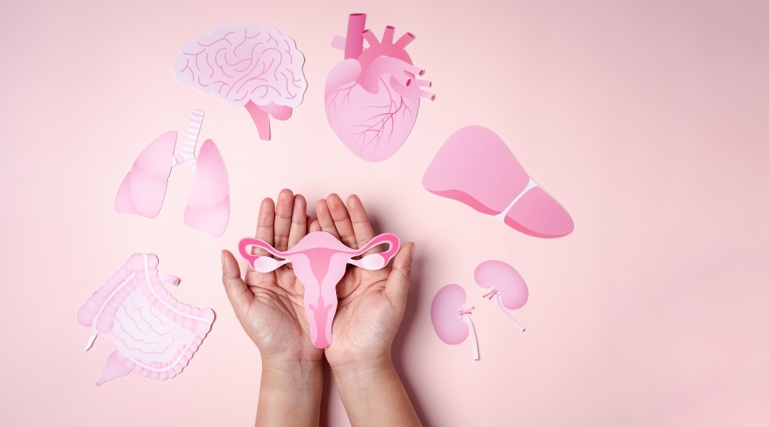 a person's hands are holding pink paper cutouts of organs infertility nutrition advices