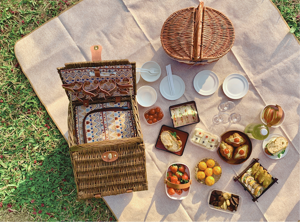 picnic santé à Ottawa