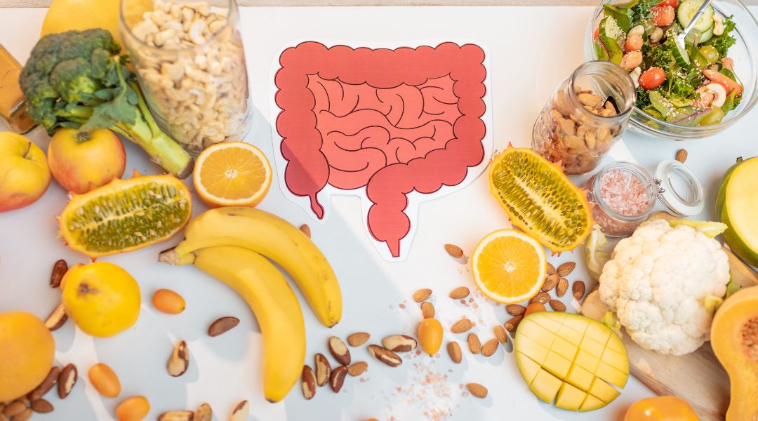 the digestive system is surrounded by fruits and vegetables
