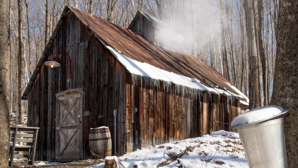 Sugar shack