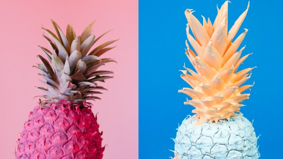 pink pineapple blue pineapple