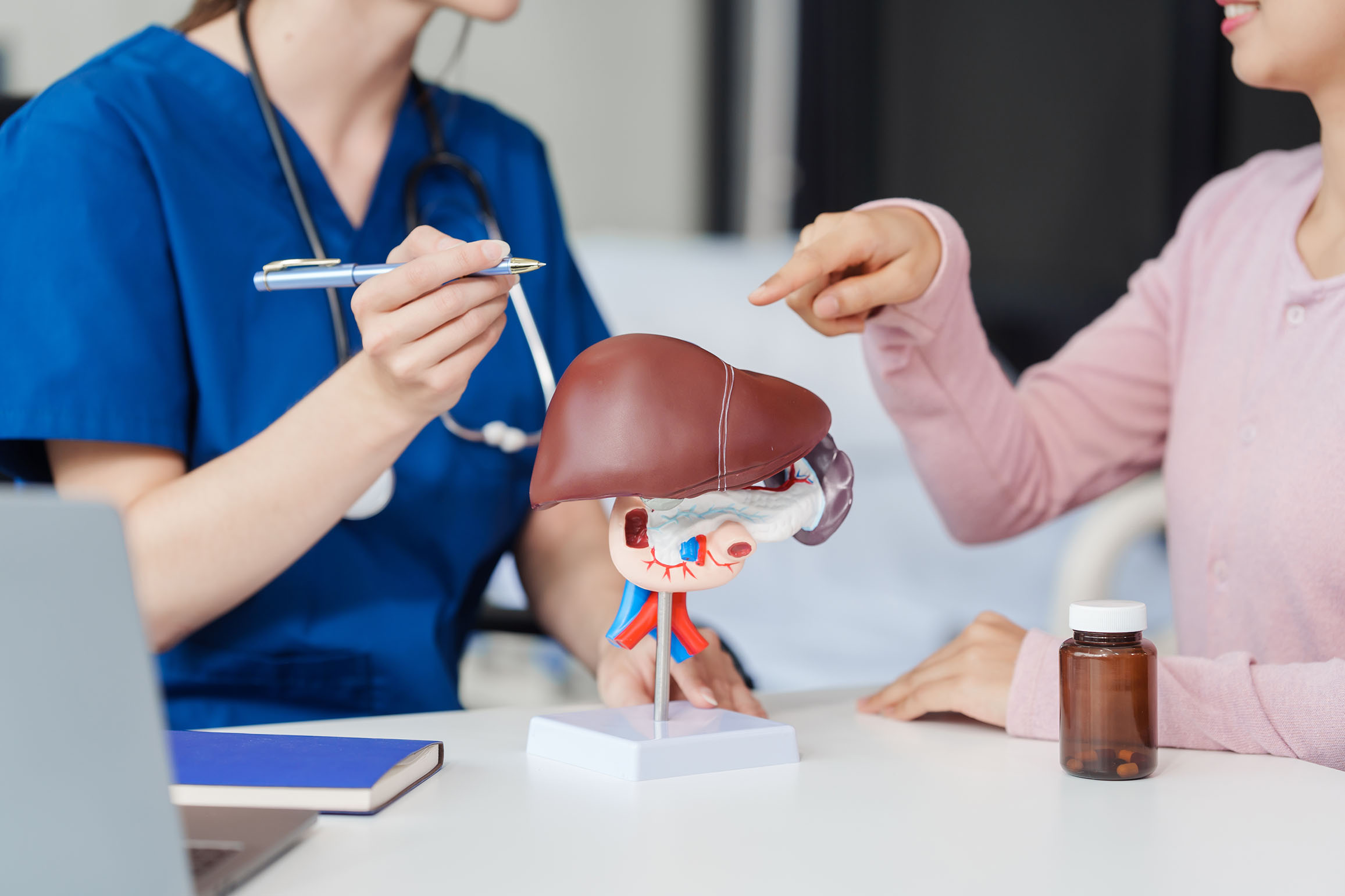 A medical professional in blue scrubs explaining a liver model to a patient, who is pointing at the model.