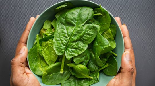 Bowl of spinach