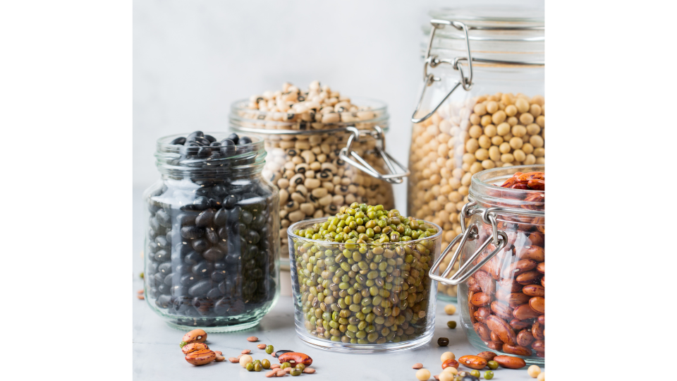 pulses legumes