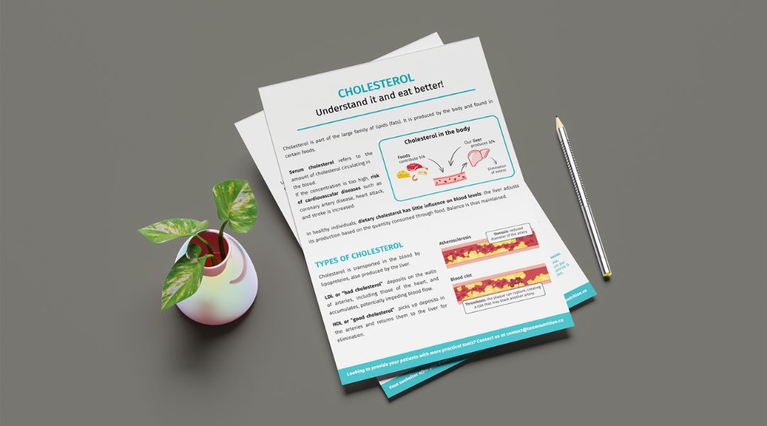 Educational pamphlet about cholesterol on a dark surface, accompanied by a potted plant and a pencil