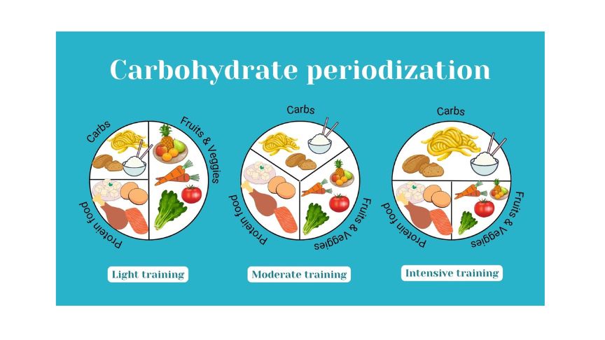 periodization carbs