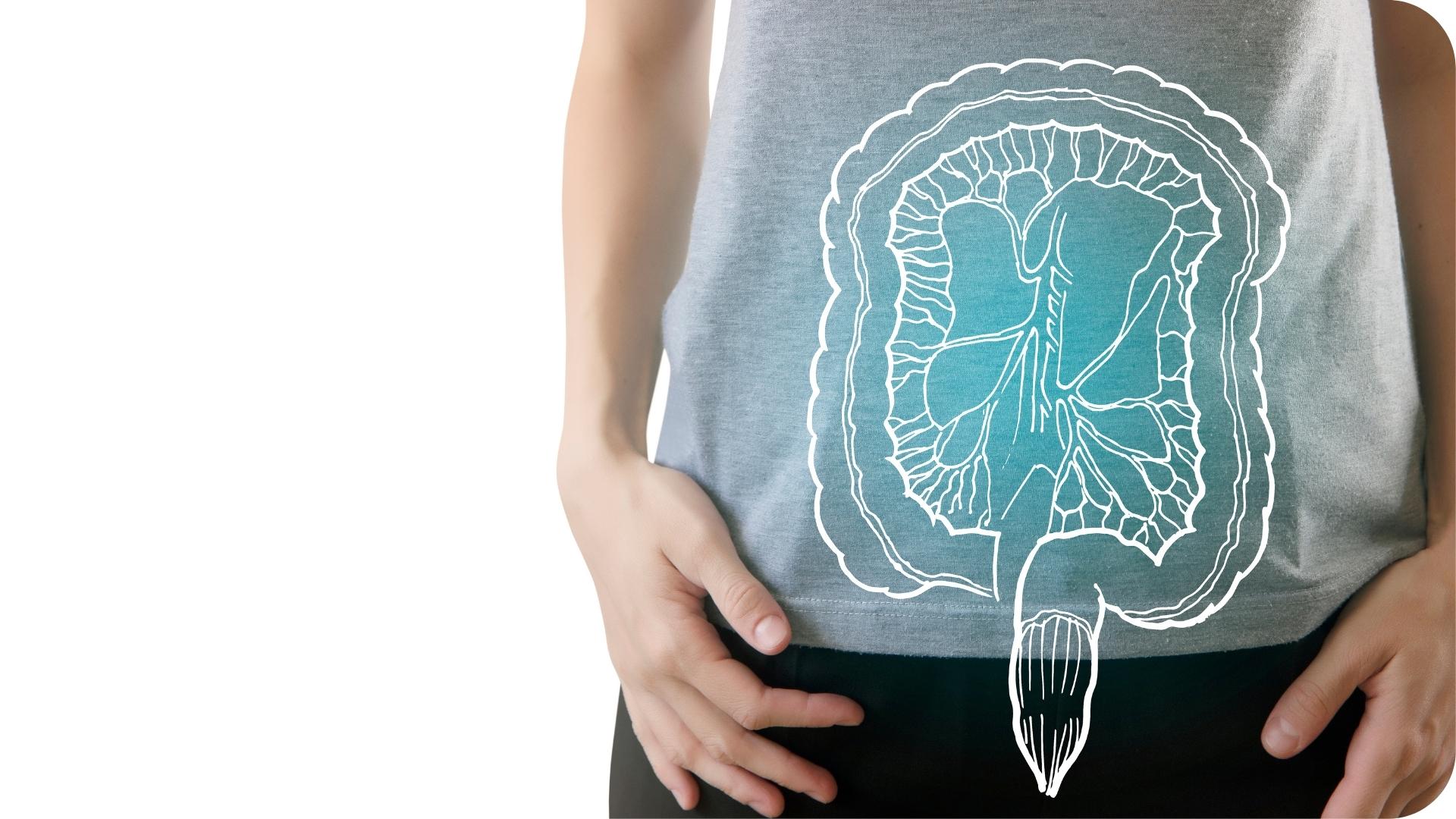 Illustration of the digestive system overlaid on a person's abdomen, representing gut health