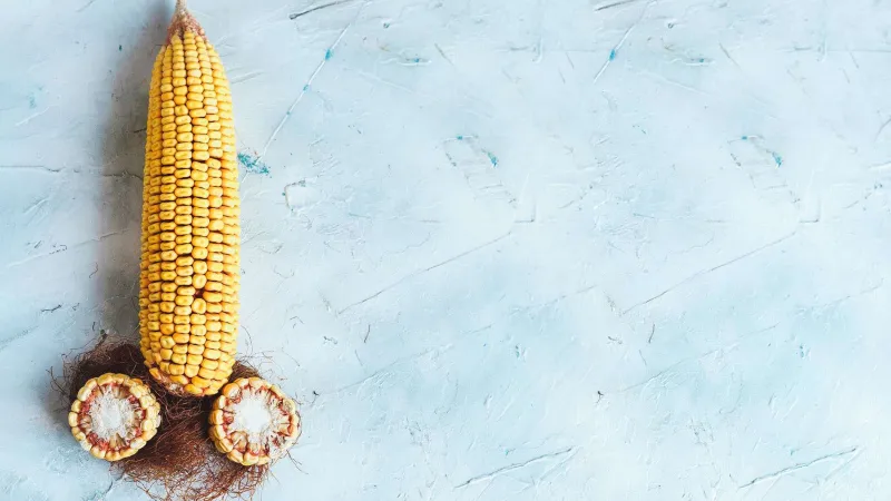 Corn Maïs Phalus