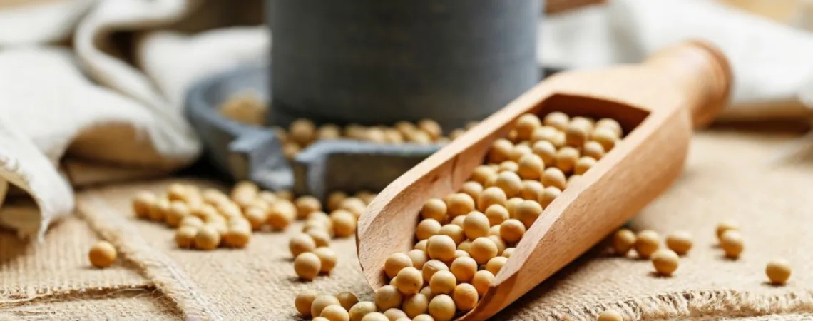 soy