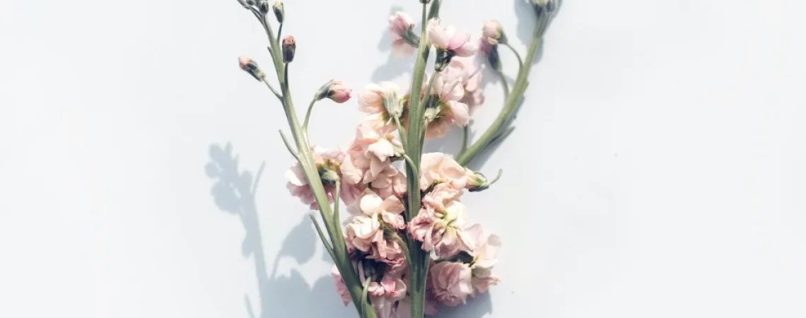 bouquet of flowers
