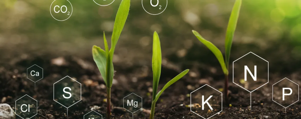 Do You Know Nutrigenomics ?