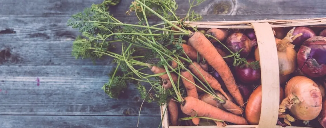 organic vegetable basket on a wooden table