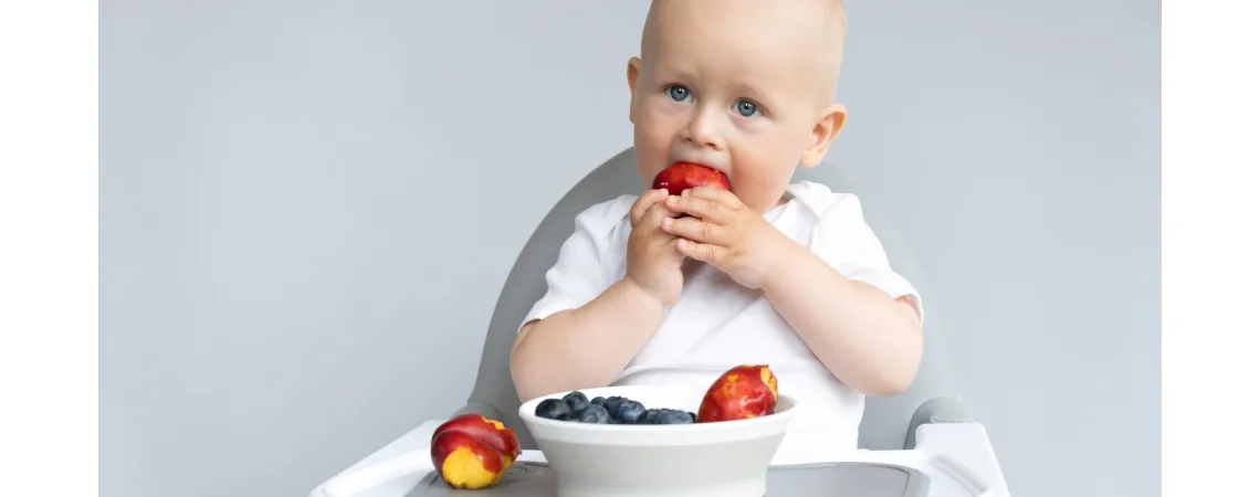 Meals That Bring Us Together: How BLW Promotes Family Moments