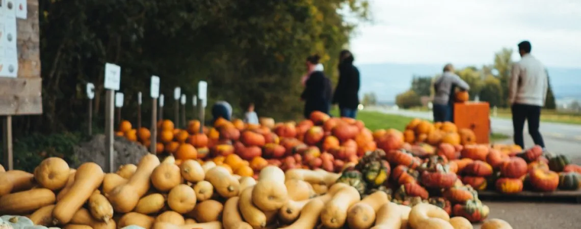 squash sales