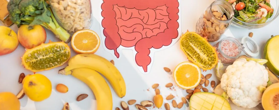 the digestive system is surrounded by fruits and vegetables