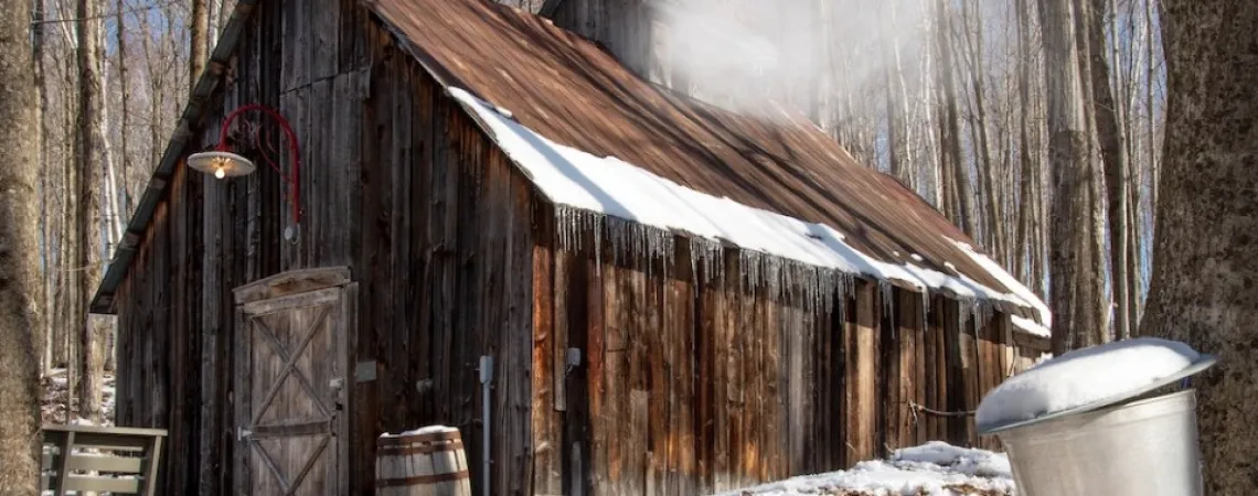 Sugar shack