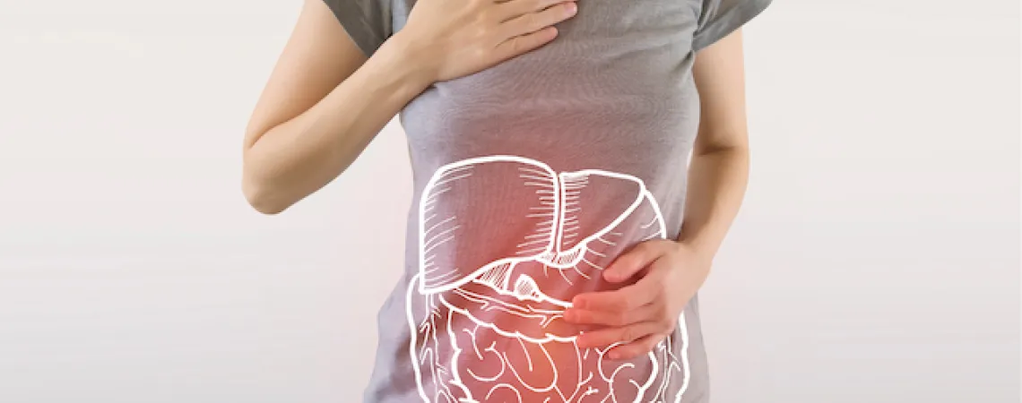 Le SIBO : un trouble méconnu qui mérite une prise en charge nutritionnelle