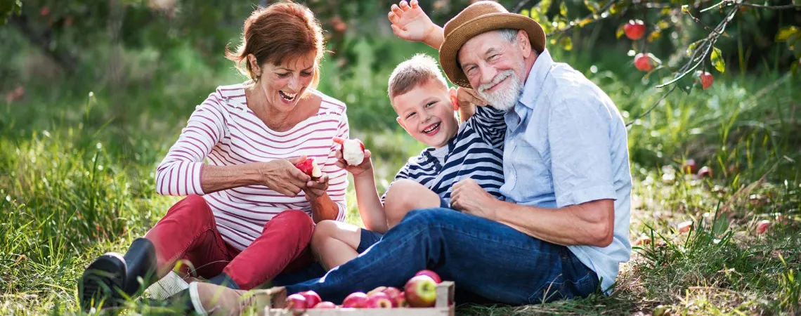 Senior couple with grandson sitting in an orchard