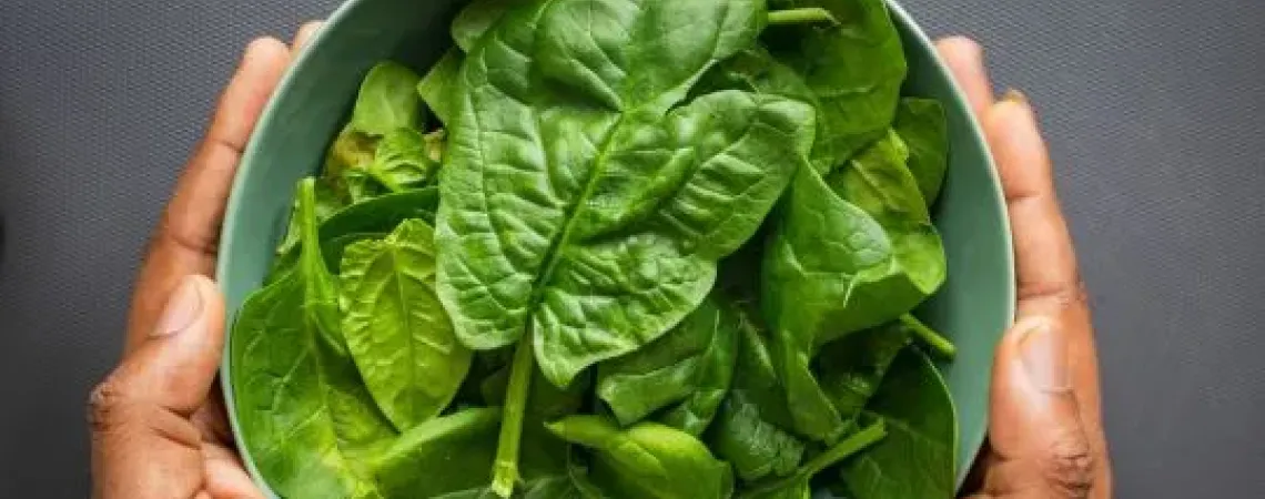 Bowl of spinach