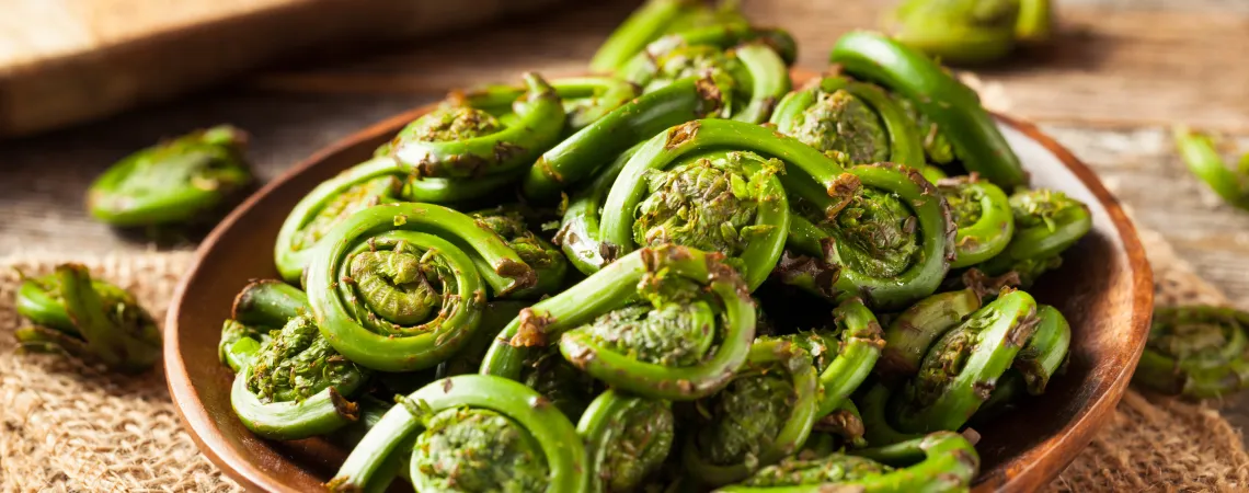 Fresh Fiddleheads