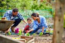 Famille faisant du jardinage - Family gardening