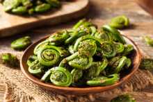 Fresh Fiddleheads