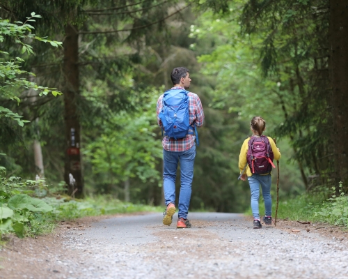 Moving without training, nutrition, intuition, physical activity, dietitian
