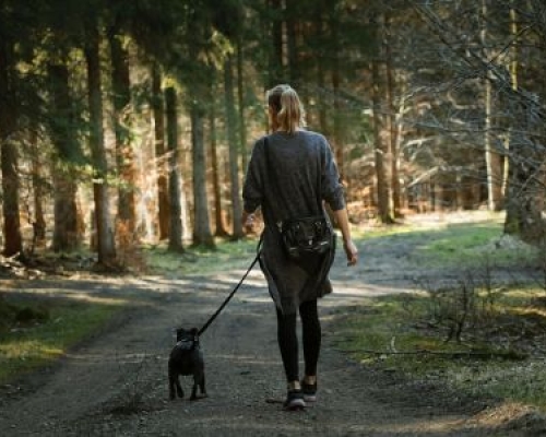 Girl walking dog