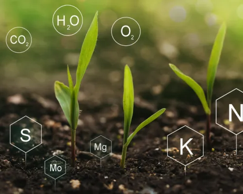 Do You Know Nutrigenomics ?