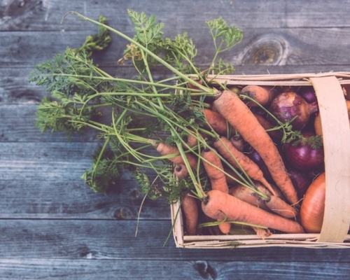 organic vegetable basket on a wooden table