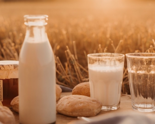 milk in a field