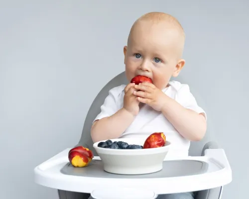 Meals That Bring Us Together: How BLW Promotes Family Moments