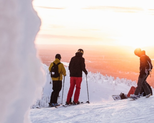 adults skiing in the middle of winter on a mountain