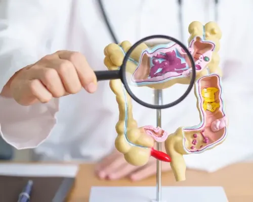 a doctor holding a magnifying glass over a model of the human digestive system