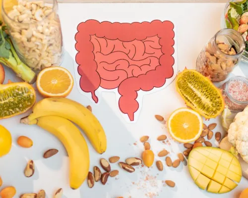 the digestive system is surrounded by fruits and vegetables