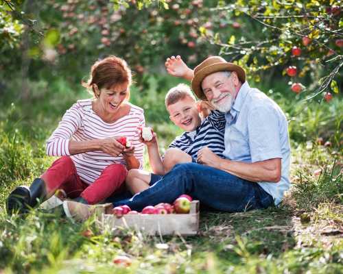 Senior couple with grandson sitting in an orchard