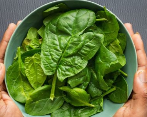 Bowl of spinach