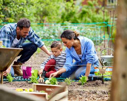 Famille faisant du jardinage - Family gardening